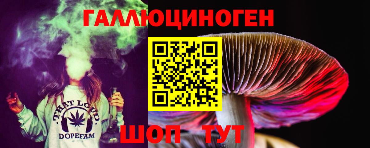 Апатиты  Псилоцибиновые грибы Psilocybine cubensis  Вход с VPN 